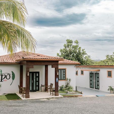 Casa Campo Bed & Breakfast San Sebastian Exterior photo